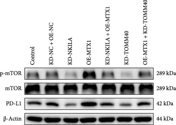 Figure 45