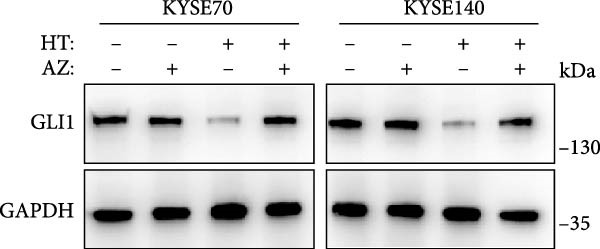 Figure 17