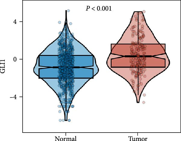 Figure 20