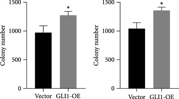 Figure 21