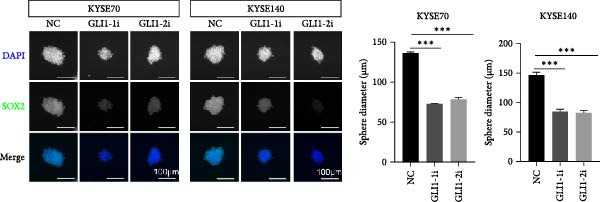 Figure 22