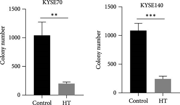 Figure 23