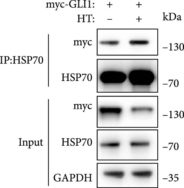 Figure 25
