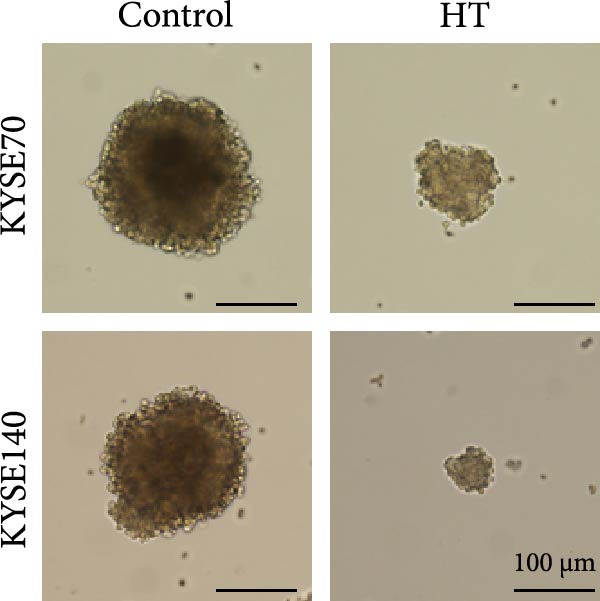 Figure 26