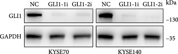 Figure 27