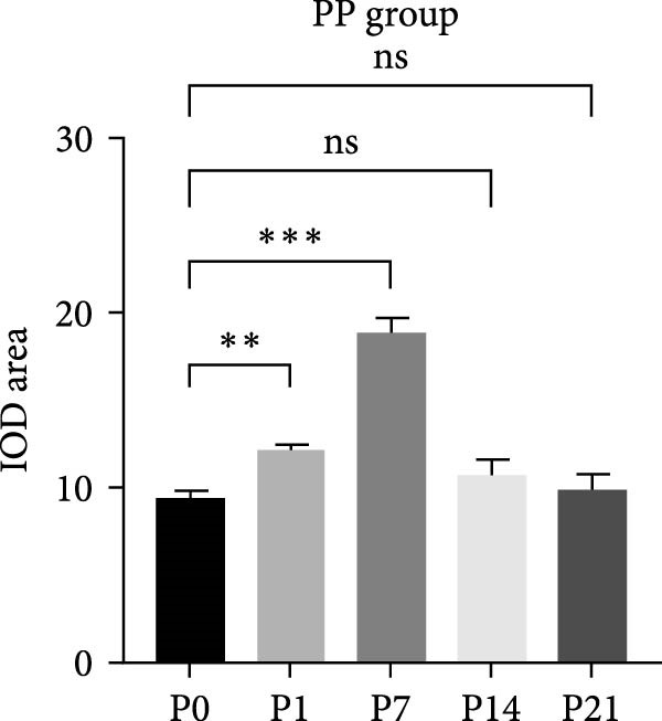 Figure 12