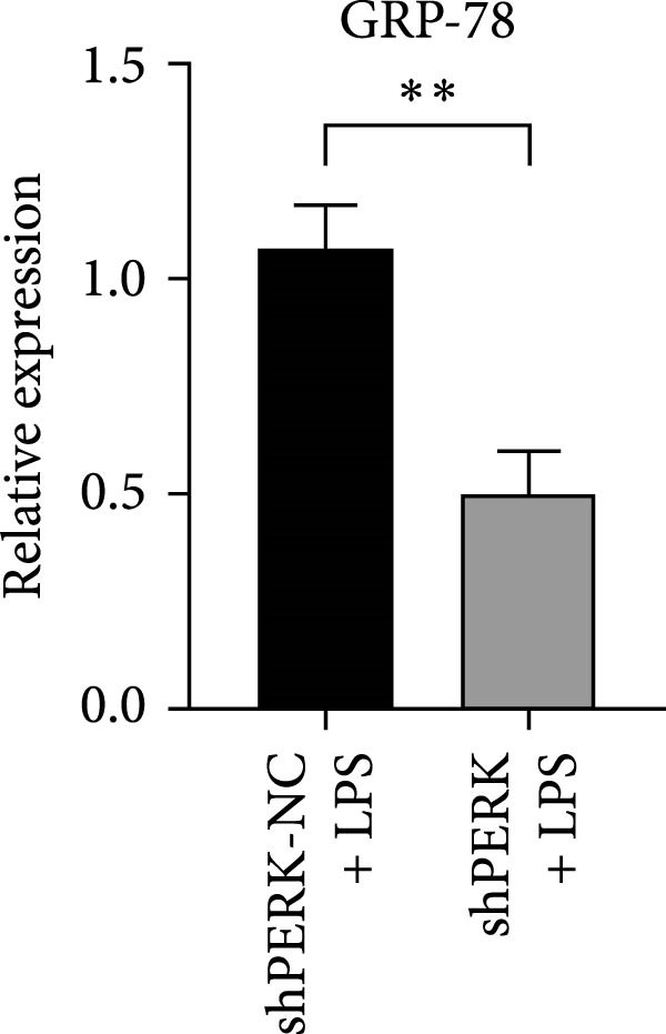 Figure 21