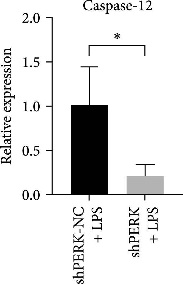 Figure 22