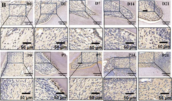 Figure 23