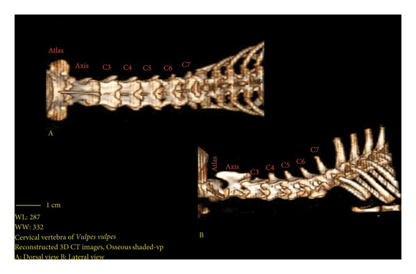 Figure 9