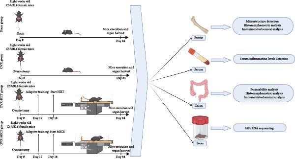 Figure 16