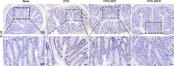 Figure 34