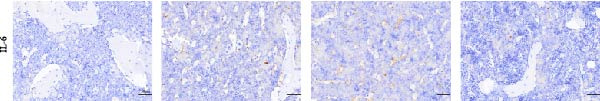 Figure 35