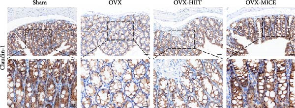 Figure 36