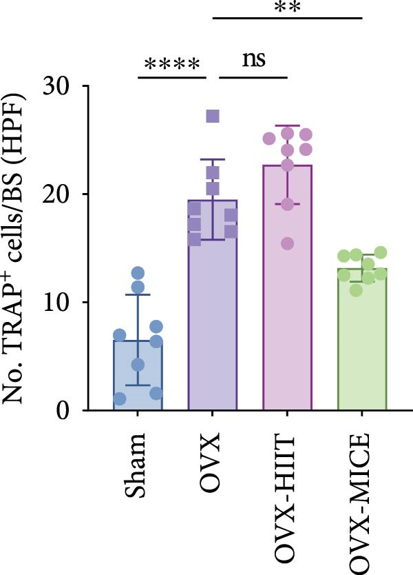 Figure 40
