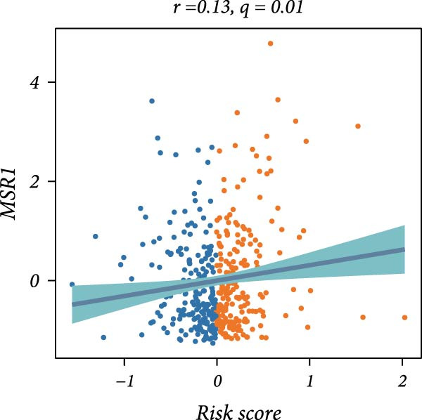 Figure 31