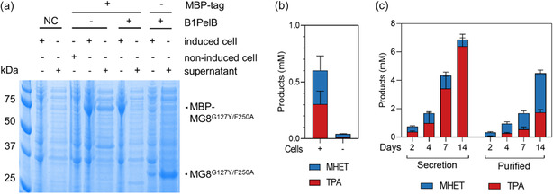 FIGURE 4