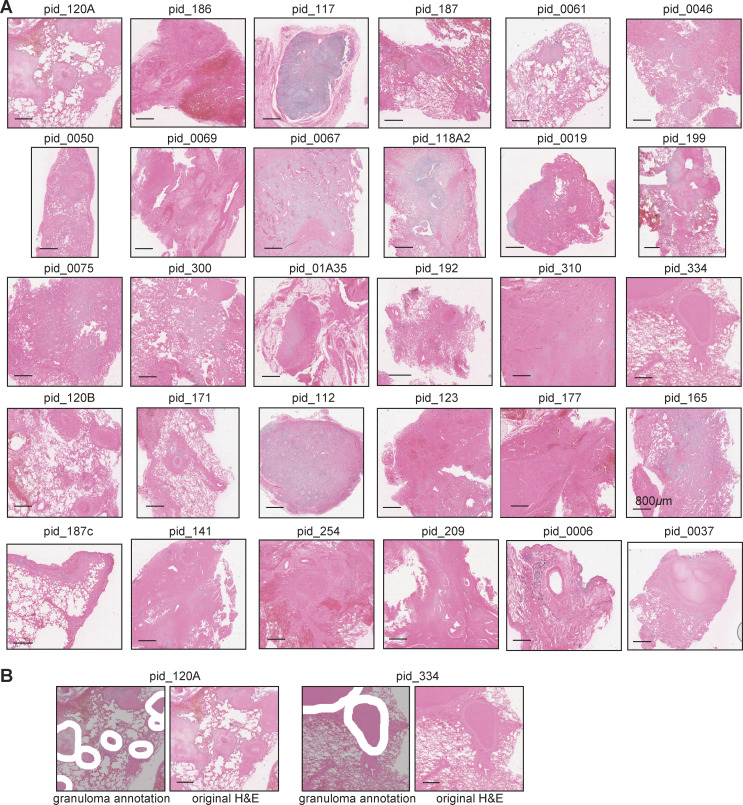 Figure S1