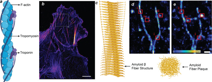 Fig. 12