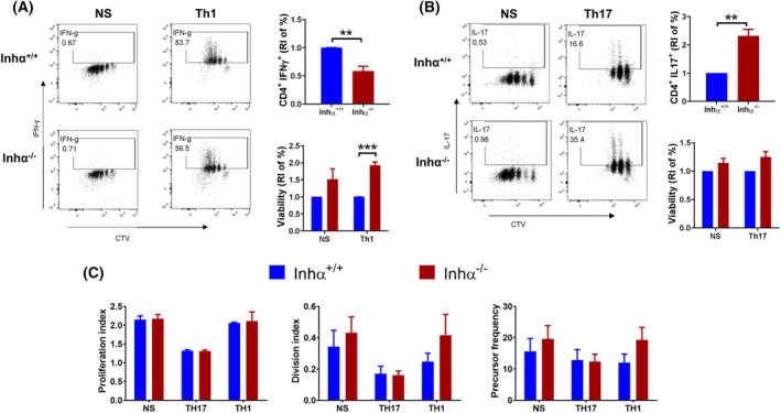 Fig. 4