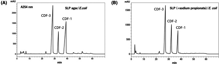 Fig. 5