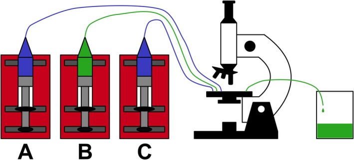 Fig. 3