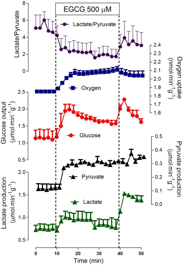 Fig. 4
