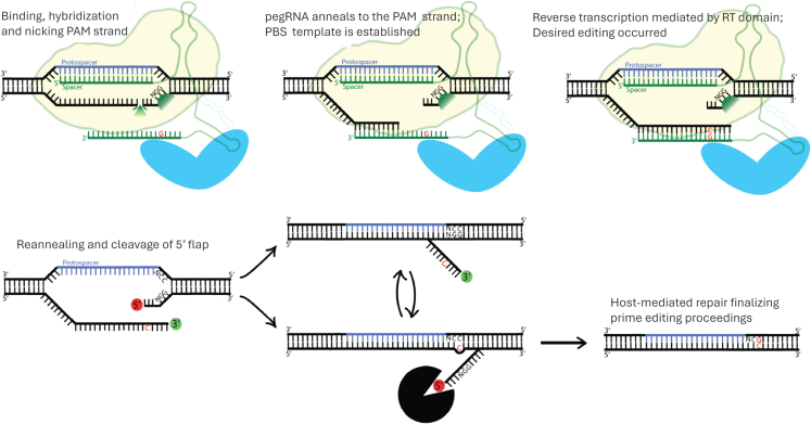 Figure 7