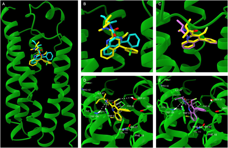 Fig. 3