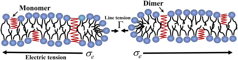 Fig 8