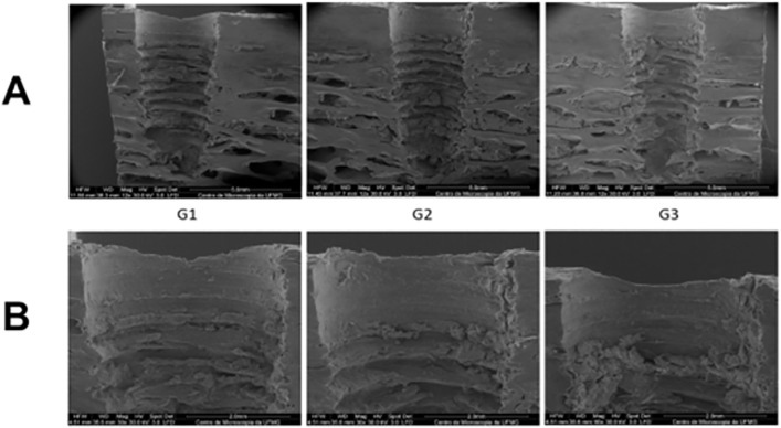 Fig 10
