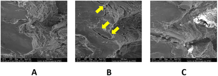 Fig 11