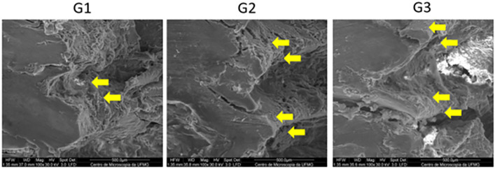 Fig 12