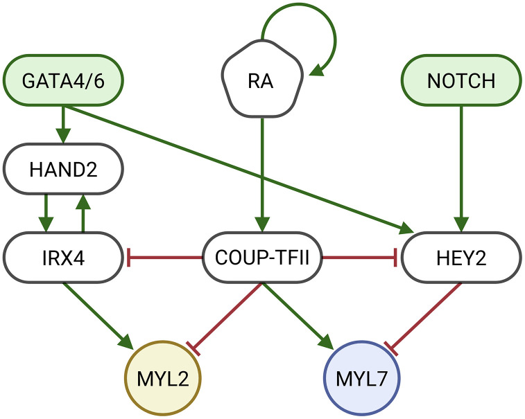 Fig 4