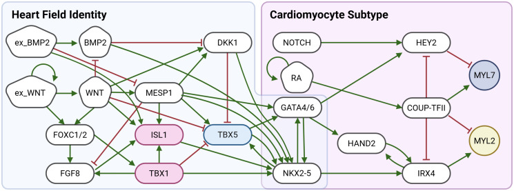 Fig 7