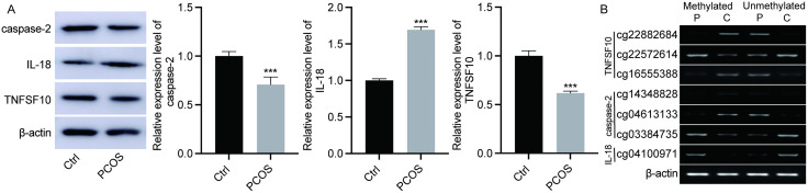 Fig 5