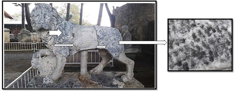 Fig 3