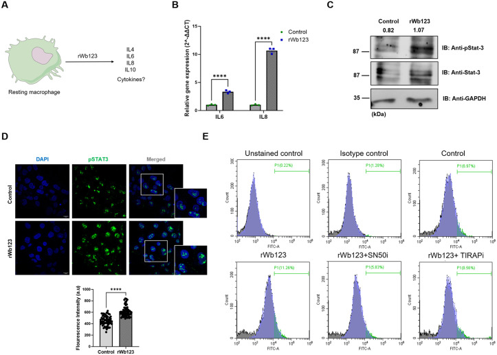 Fig 4