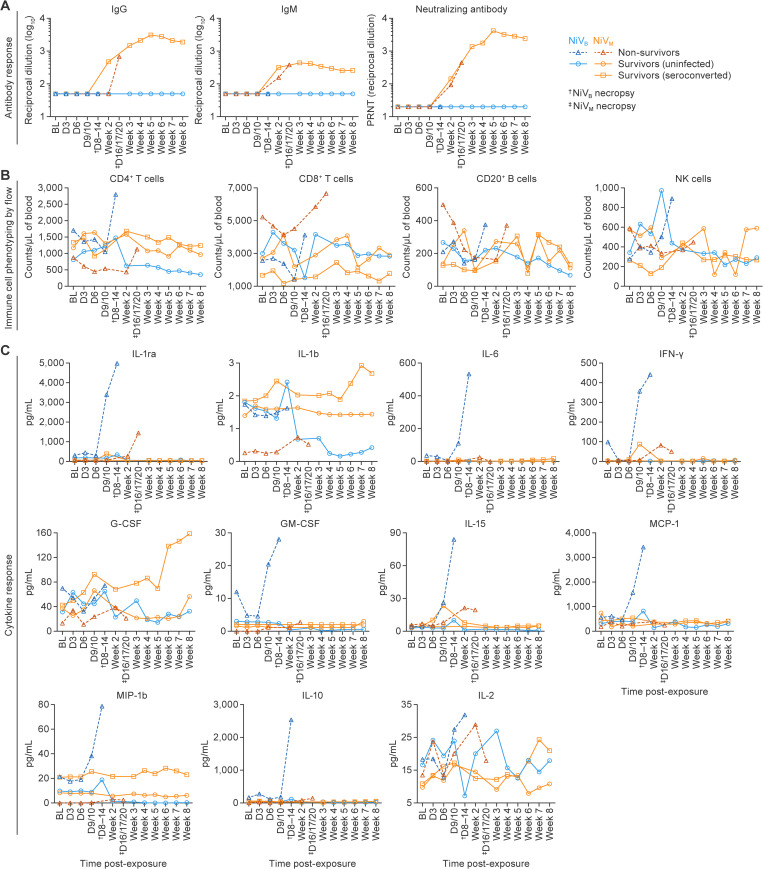 Fig 6