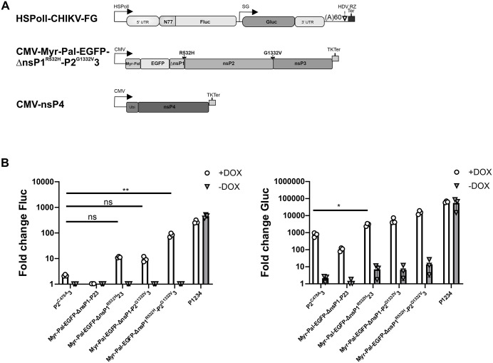 Fig 6
