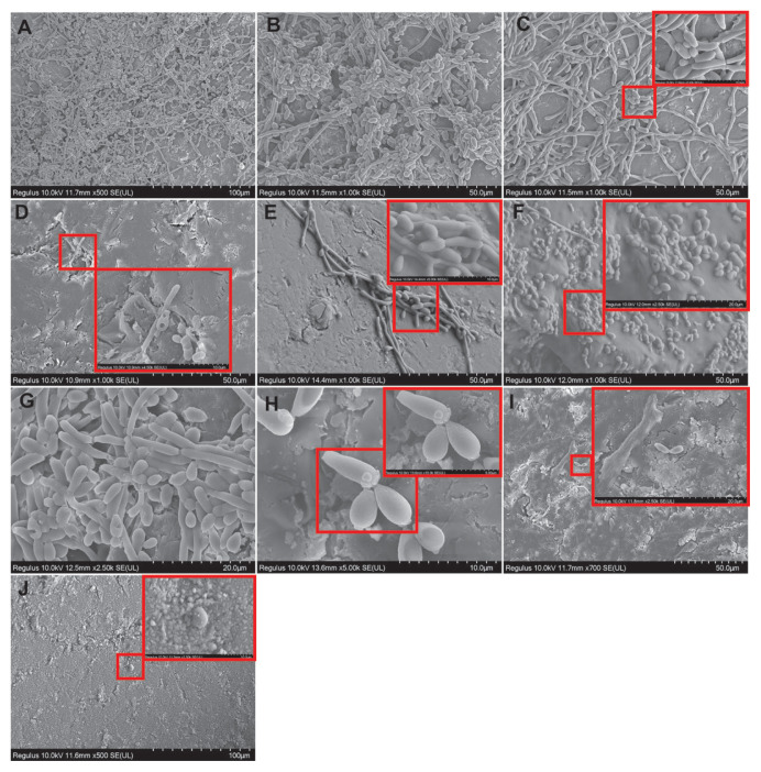 Figure 9