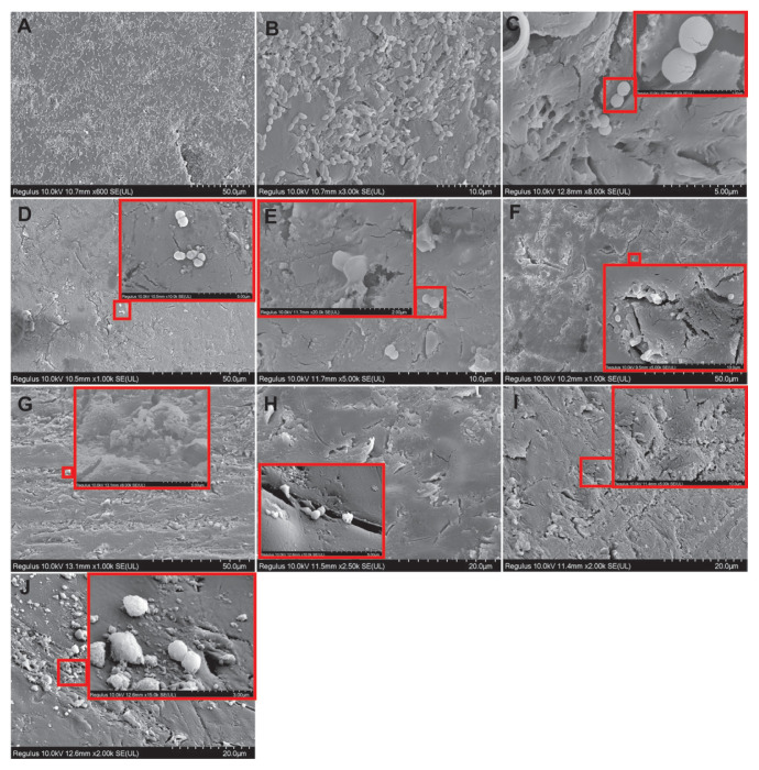 Figure 10