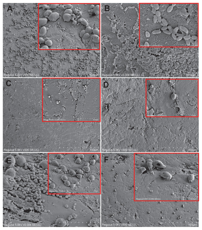 Figure 11