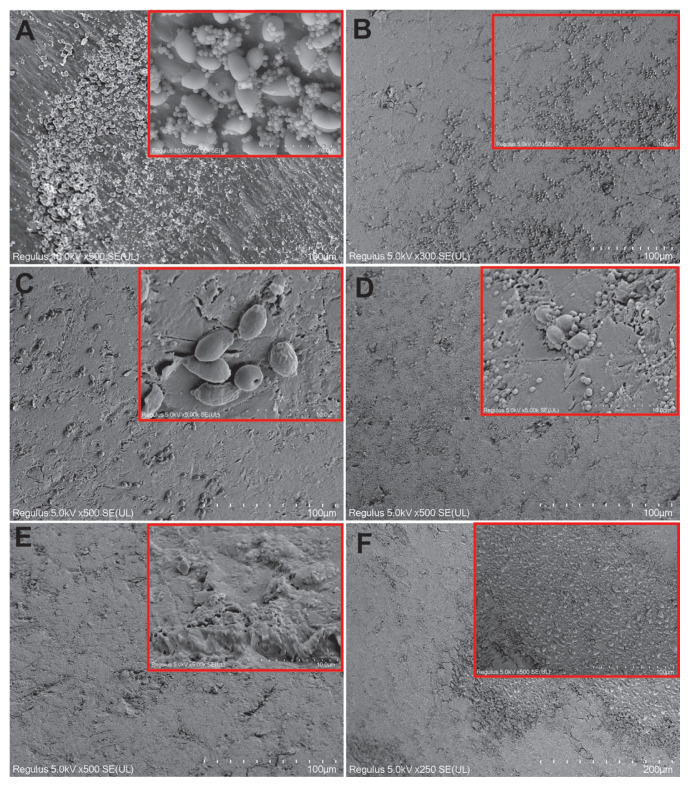 Figure 13