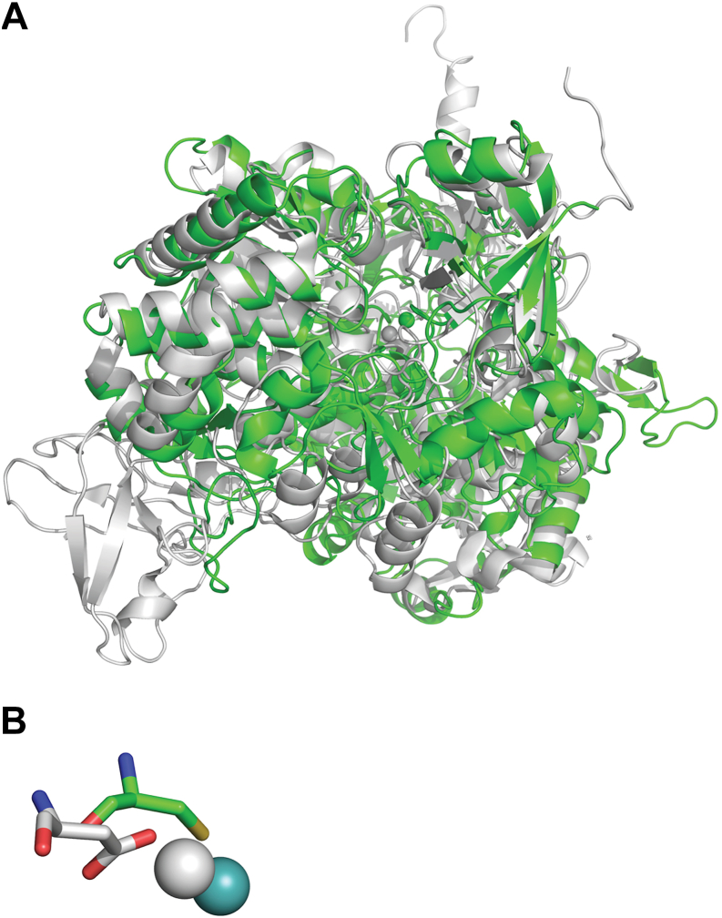 Figure 7