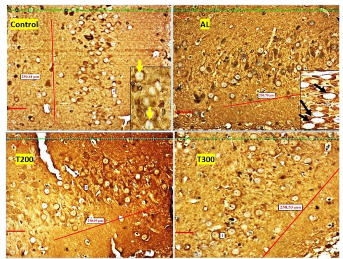 Figure 10