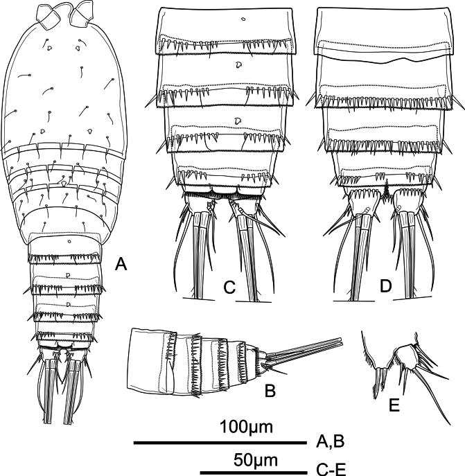 Figure 5