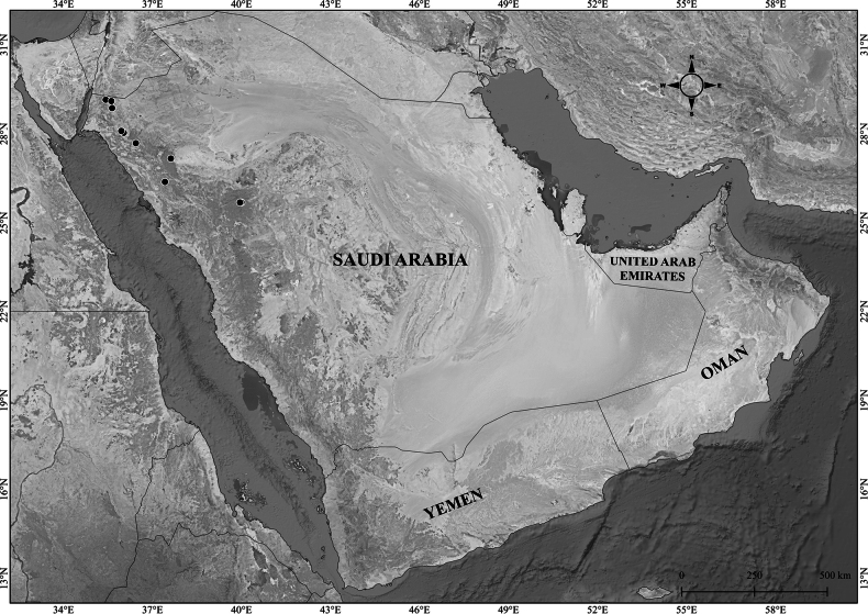 Figure 25