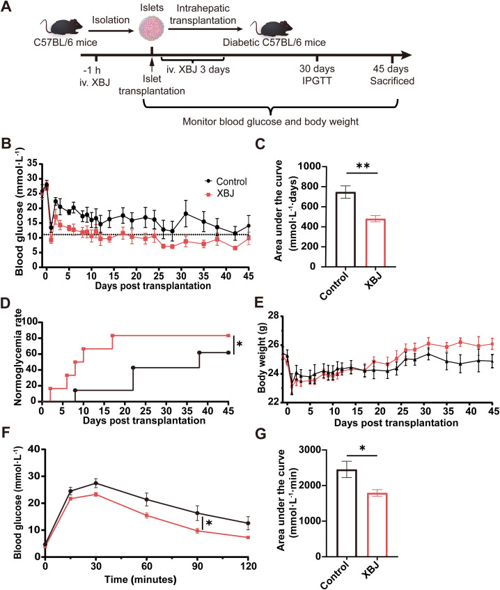 Figure 6