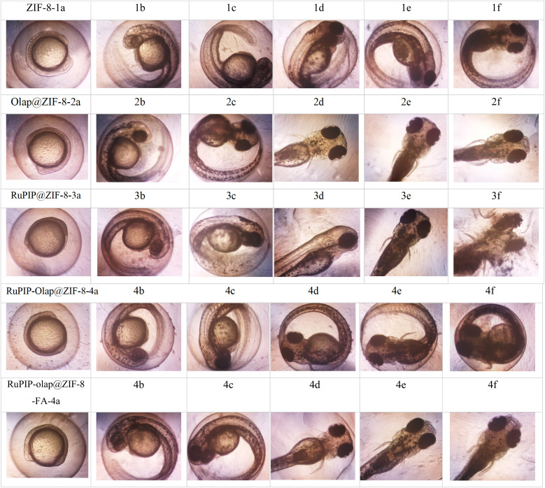 Fig. 9